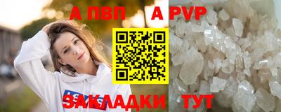 стаф Тверь